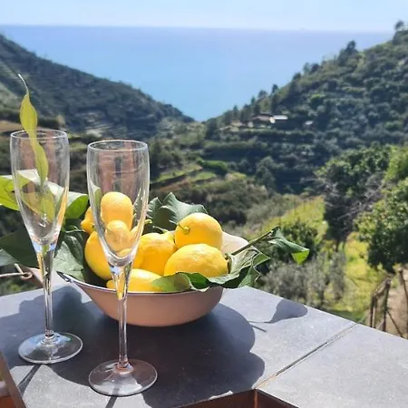 ☆ Terrace & Relax ☆ Casa Franceschin_ Homy 5 Terre * Riomaggiore